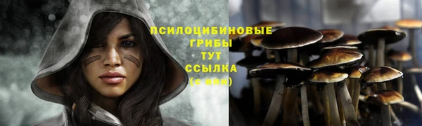 прущий лед Вязьма