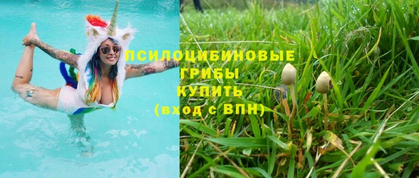 a pvp Вяземский