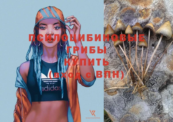 a pvp Вяземский