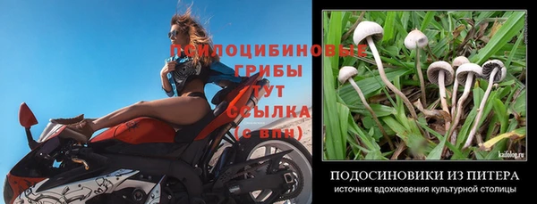 марихуана Вязники
